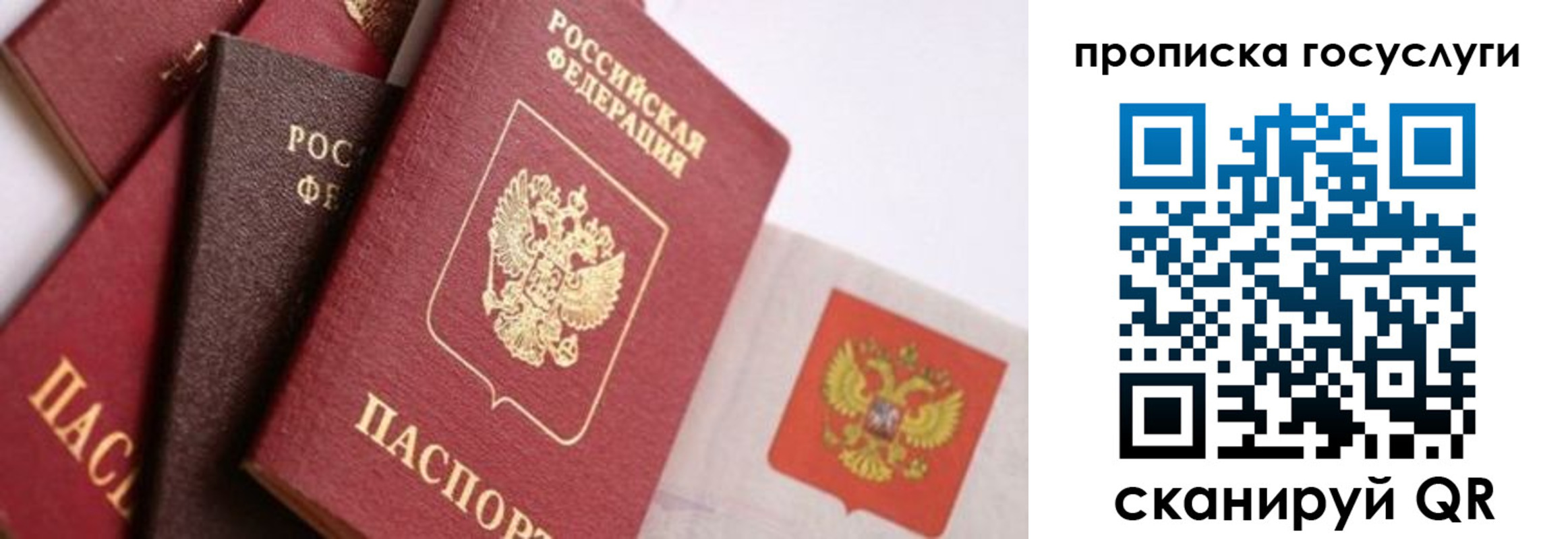 прописка законно в Струнино
